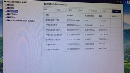 個(gè)體工商戶(hù)開(kāi)具發(fā)票時(shí)，信息技術(shù)咨詢(xún)服務(wù)與信息系統(tǒng)服務(wù)的區(qū)別