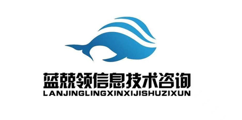 藍(lán)兢領(lǐng) 信息技術(shù)咨詢(xún)領(lǐng)域的杰出專(zhuān)家