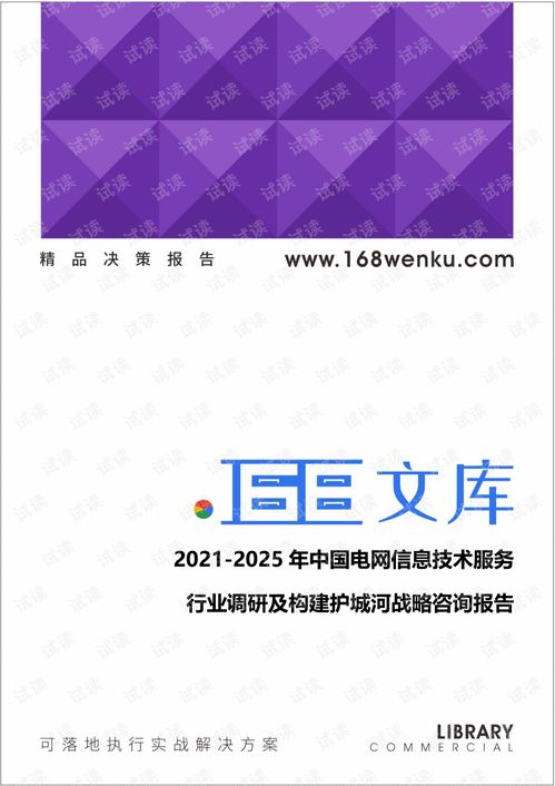 2021-2025年中國(guó)電網(wǎng)信息技術(shù)服務(wù)行業(yè)調(diào)研及構(gòu)建護(hù)城河戰(zhàn)略咨詢報(bào)告