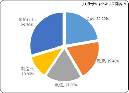 2020年中國IT服務(wù)市場深度調(diào)研及投資前景預(yù)測(cè) 聚焦信息技術(shù)咨詢服務(wù)