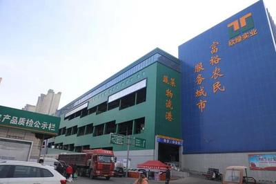碑林區(qū)工廠食材配送單位 新鮮水果直達(dá)，守護(hù)生產(chǎn)效率